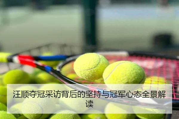 汪顺夺冠采访背后的坚持与冠军心态全景解读